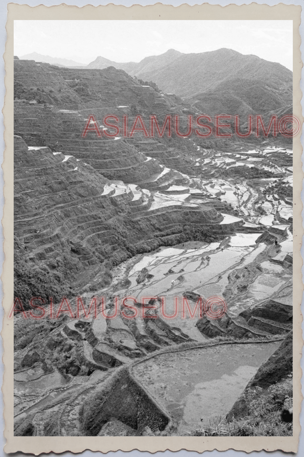 50s PHILIPPINES LUZON RICE TERRACE MOUNTAIN VIEW BABAUE HILL Vintage Photo 24188