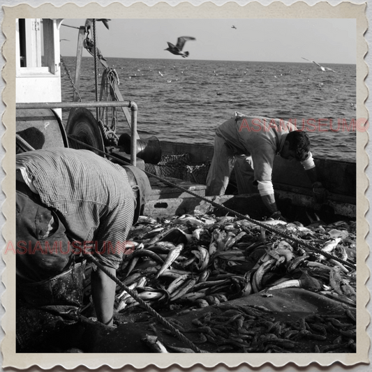 50s GLOUCESTER HARBOR ESSEX MASSACHUSETTS FISHING BOAT US VINTAGE USA Photo 8164