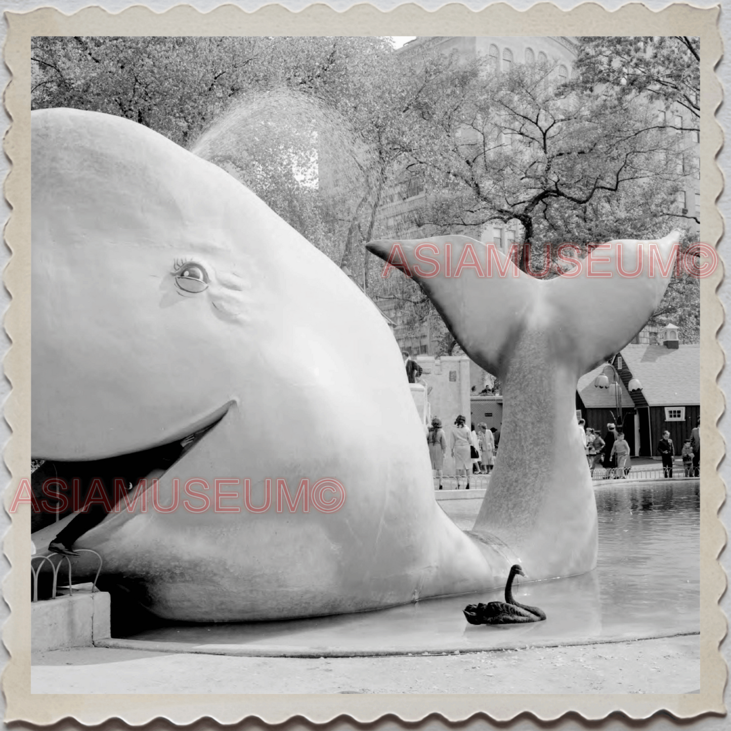 50s MANHATTAN NEW YORK CITY CENTRAL PARK WHALE FOUNTAIN SWAN OLD USA Photo 8761