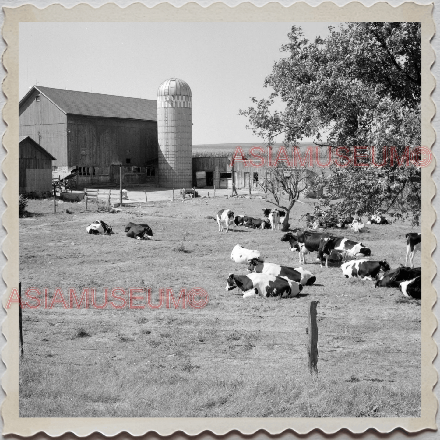 50s LAKE GENEVA WISCONSIN WALWORTH MILWAUKEE CHICAGO FARM VINTAGE USA Photo 8765