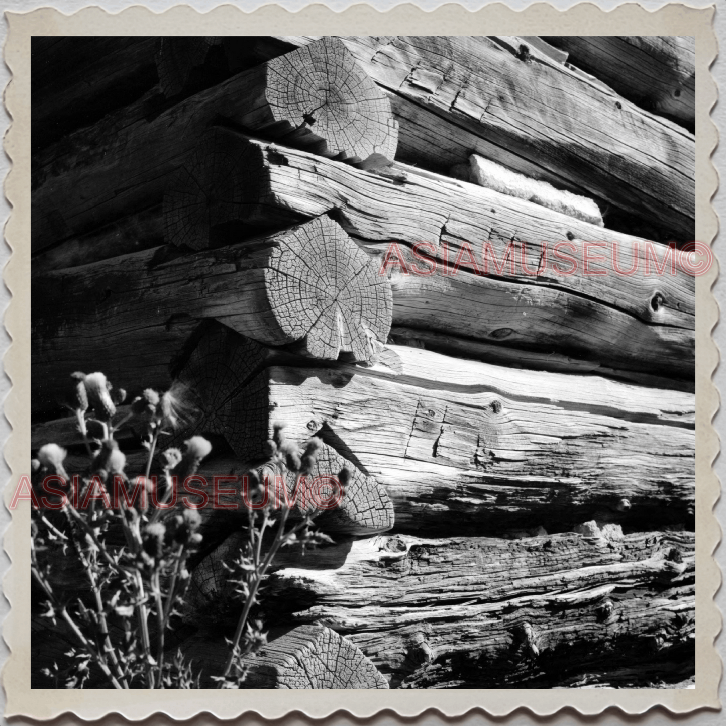 50s GREAT FALLS MONTANA CASCADE COUNTY LOG CABIN MAN VINTAGE USA Photo 10028