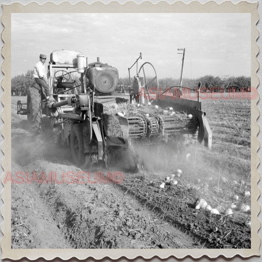 50s MONTEREY SALINAS CALIFORNIA POTATO FIELDS TRACTOR MAN VINTAGE USA Photo 9843