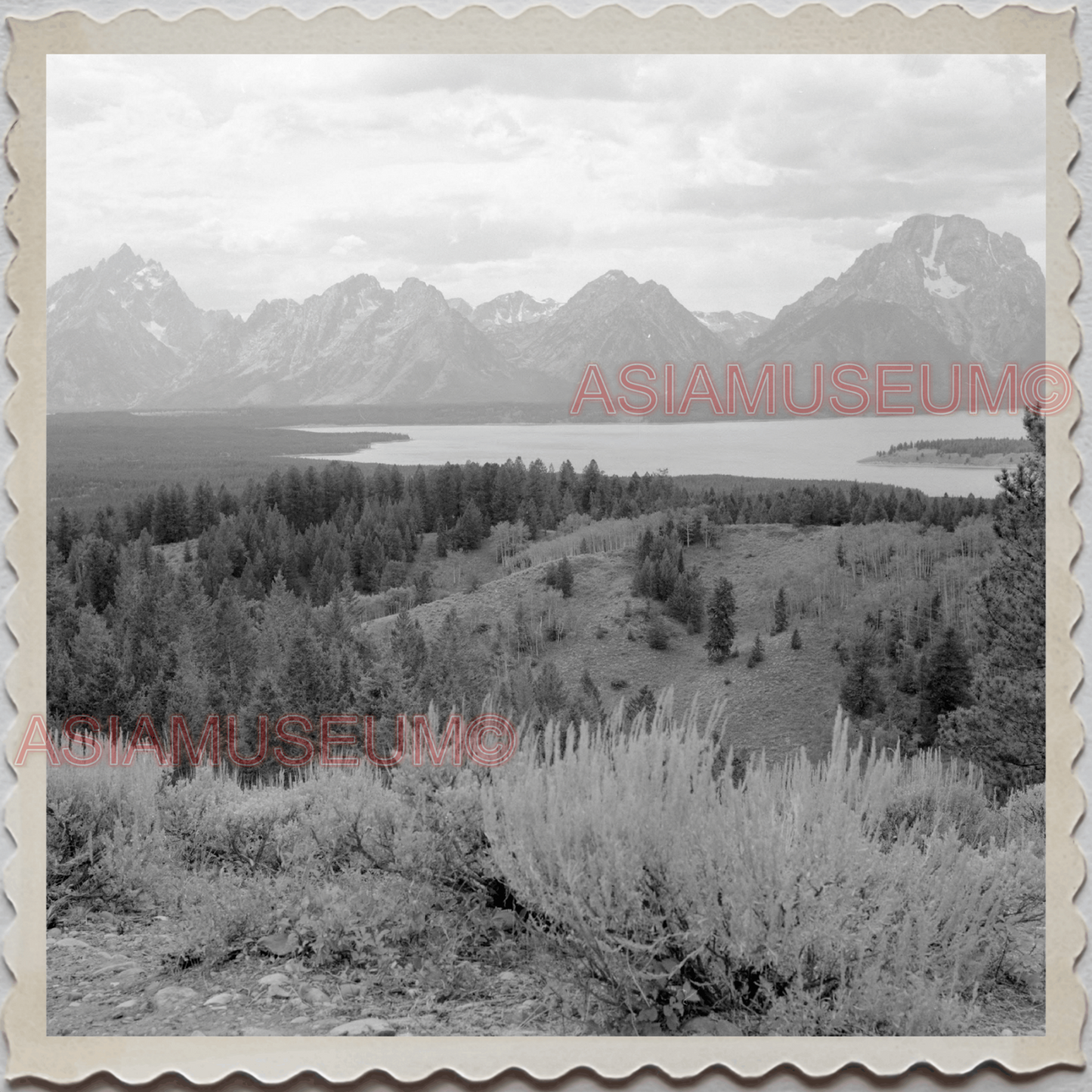 50s GRAND TETON NATIONAL PARK JACKSON HOLE WYOMING LAKE VINTAGE USA Photo 8676