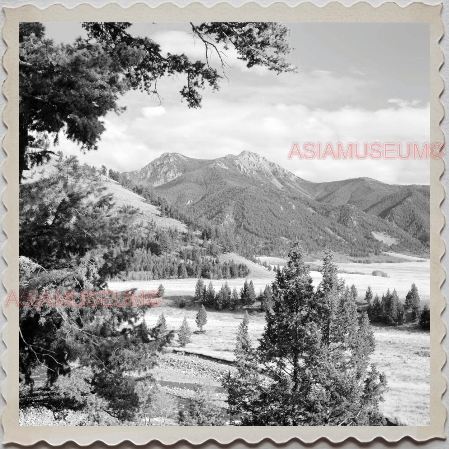 50s YELLOWSTONE NATIONAL PARK WYOMING MONTANA IDAHO MOUNT VINTAGE USA Photo 8426