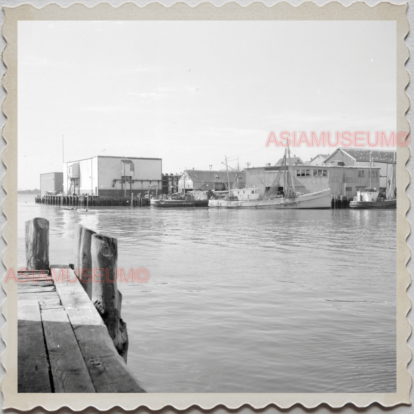 50s GLOUCESTER HARBOR ESSEX MASSACHUSETTS BOAT SHIP PIER VINTAGE USA Photo 8227