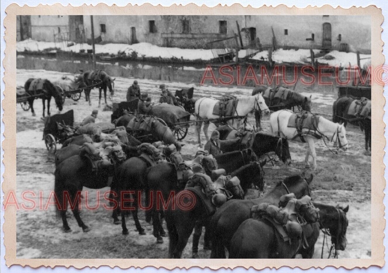 WWii D-DAY NORMANDY EUROPE WAR WW2 Military Infantry Horse Soldier Army Photo B7