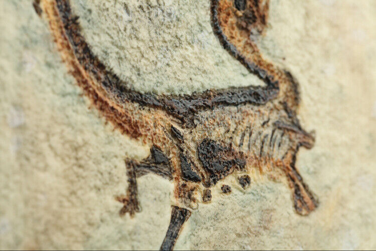 Fossilien Sinosauropteryx DINOSAURIER Jurassische Welt Vogel Biene Reproduzieren