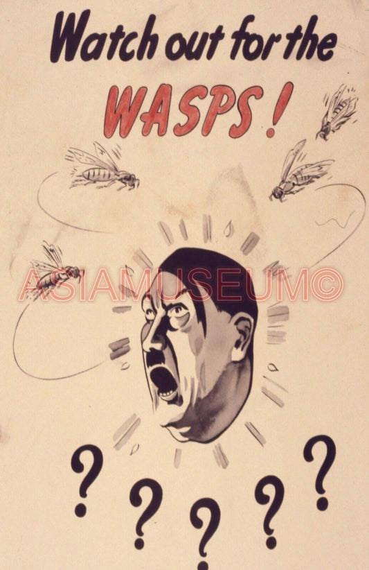 1941 WWii WASPS CARTOON FUNNY COMIC USA AMERICA EUROPE WAR PROPAGANDA Postcard