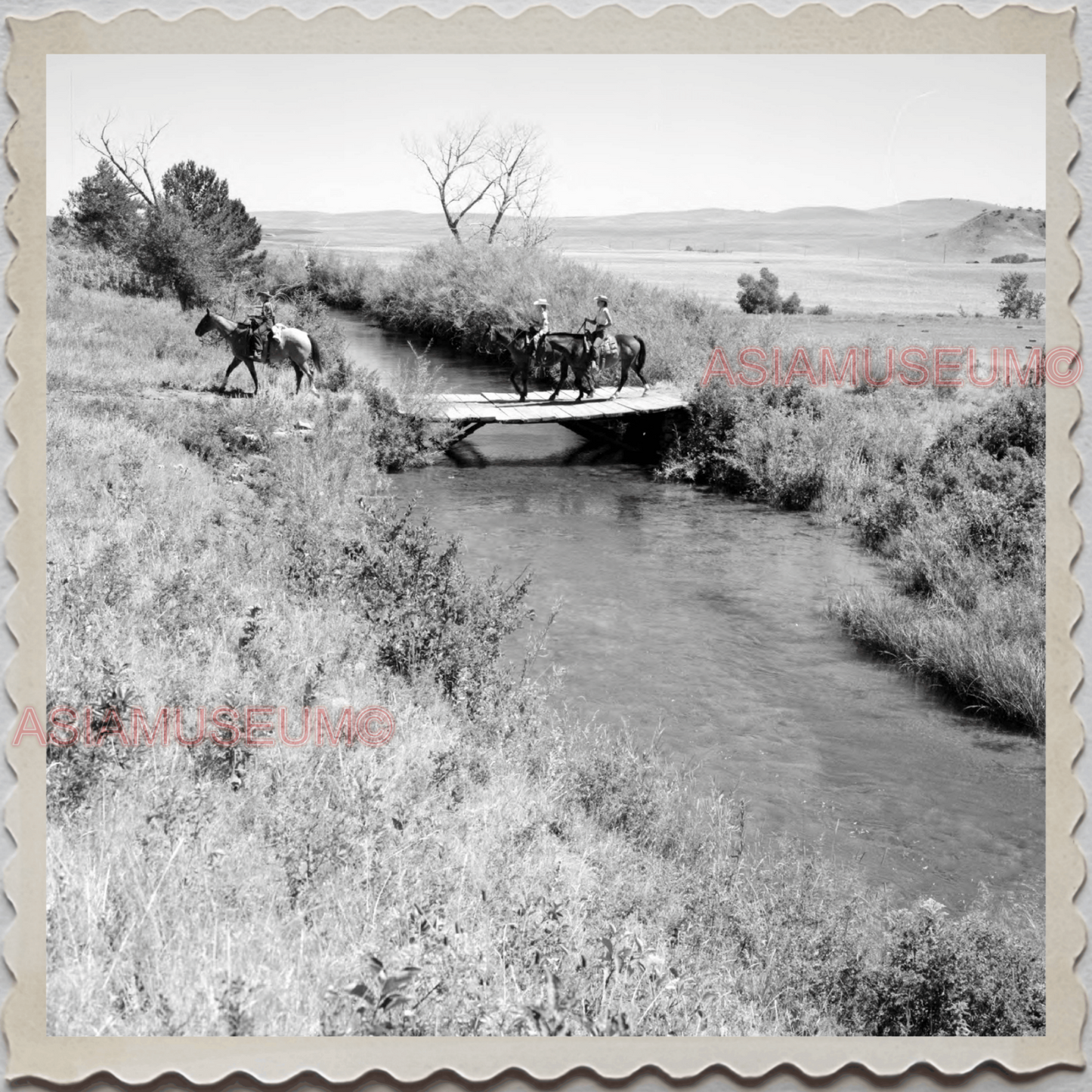 40s AUGUSTA KRONE RANCH COWBOY HORSE BRIDGE VINTAGE OLD USA AMERICA Photo S8495