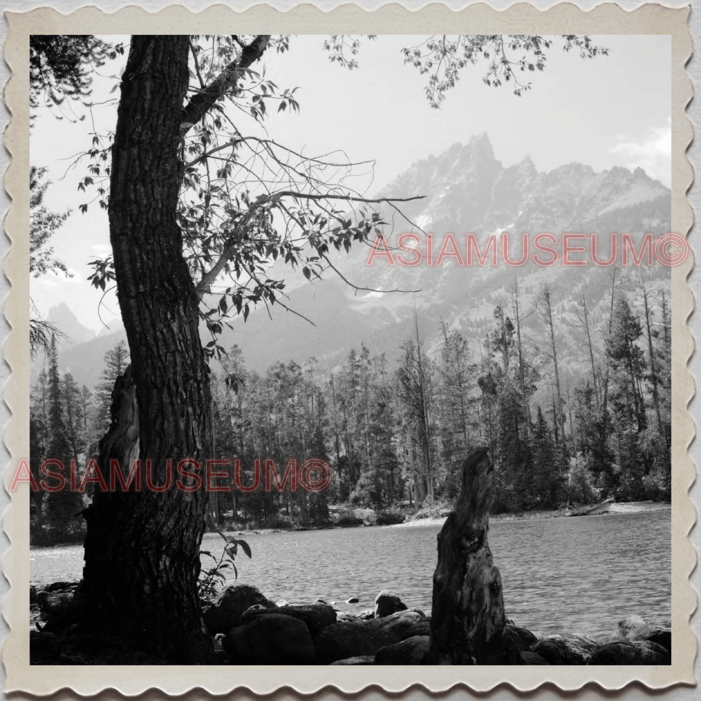 50s GRAND TETON NATIONAL PARK JACKSON HOLE WYOMING LAKE VINTAGE USA Photo 8742