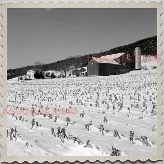 50s SUNBURY NORTHUMBERLAND PENNSYLVANIA SNOW FARM WINTER VINTAGE USA Photo 10134