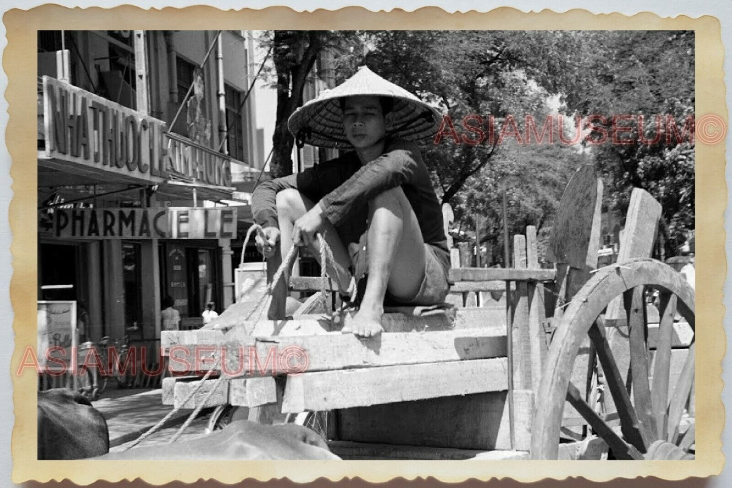 50s Vietnam War Saigon Street Scene Bullock Cart Man Hat  Vintage Photo #1079