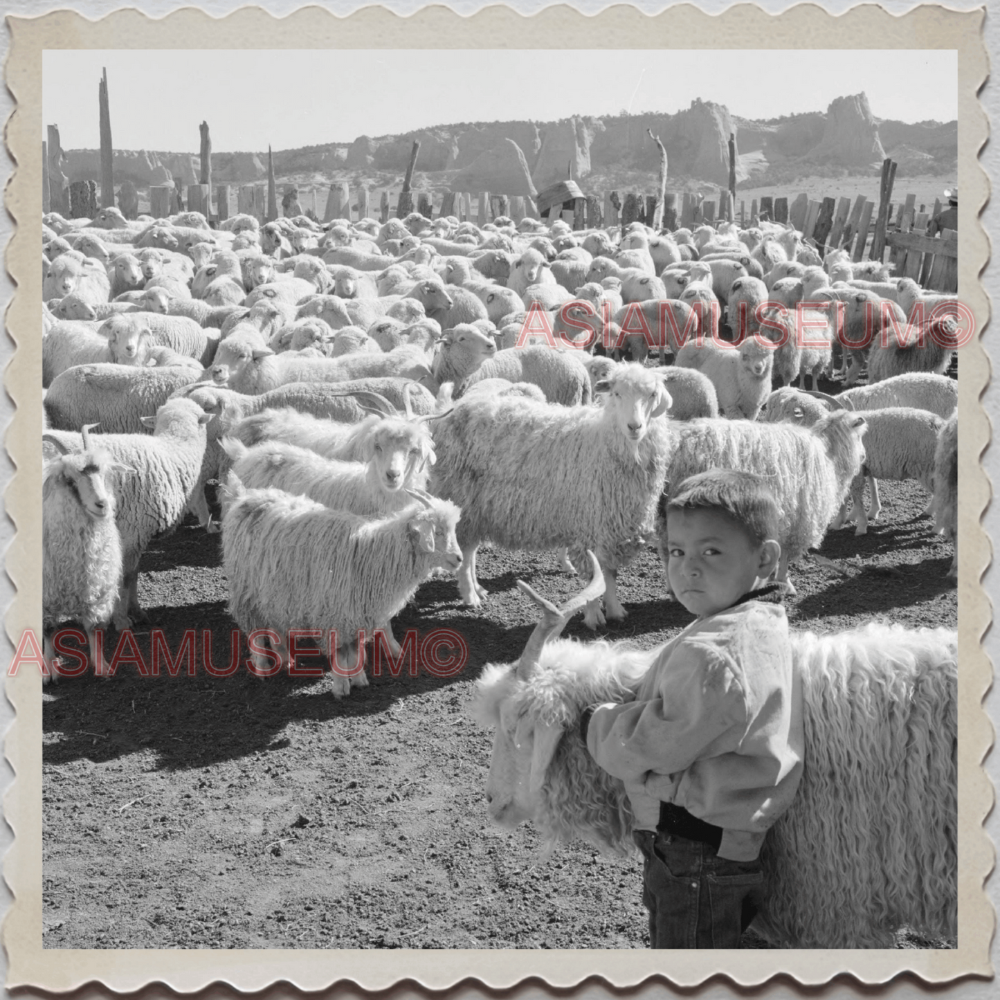 50s WINDOW ROCK NAVAJO NEW MEXICO ARIZONA SHEEP FARM B&W VINTAGE USA Photo 11795