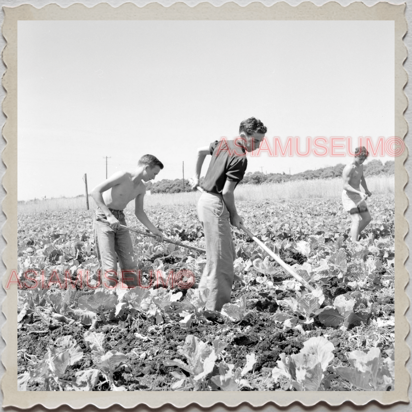 50s POLK COUNTY LAKELAND BARTOW FLORIDA BOYS GARDENING VINTAGE USA Photo 10421