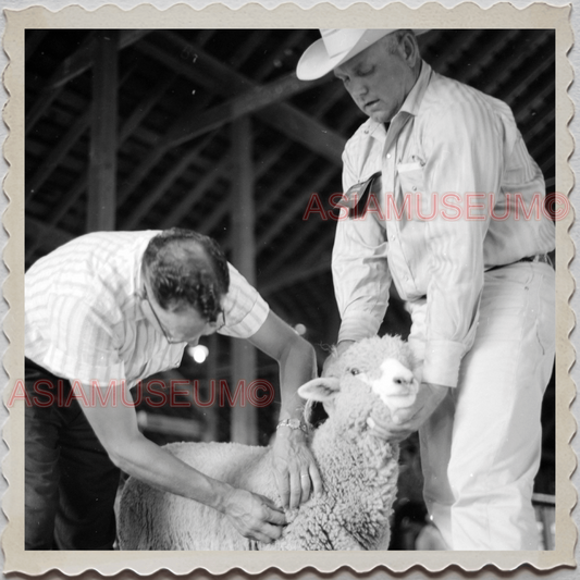 50s BILLINGS MONTANA FAIR YELLOWSTONE RIVER MAN SHEEP BW VINTAGE USA Photo 11296