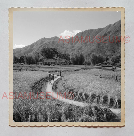 1940s PADDY FIELD VILLAGE HOUSE  YUEN LONG Vintage Hong Kong Photo 30191 香港旧照片