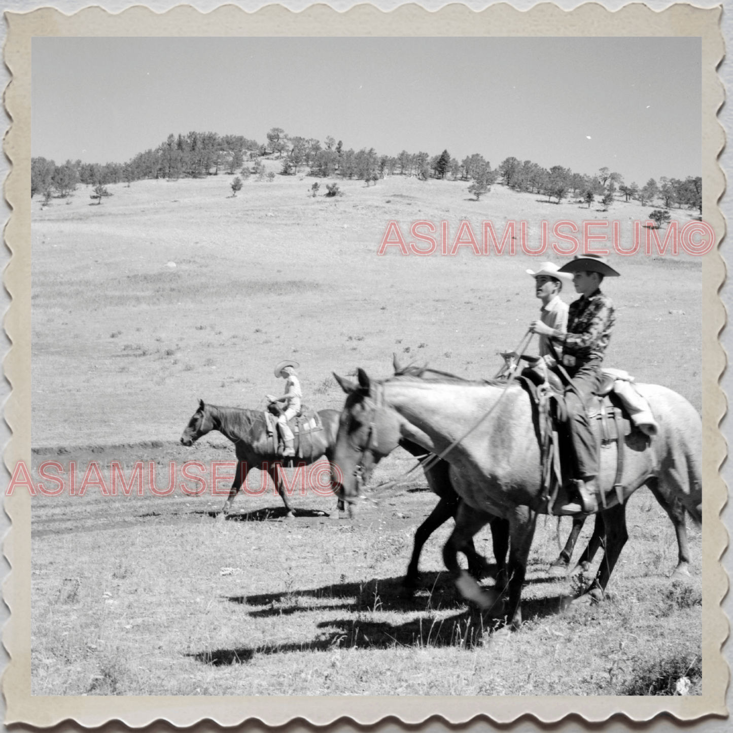 50s AUGUSTA KRONE RANCH COWBOY HORSE COW BOY VINTAGE OLD USA AMERICA Photo 11963