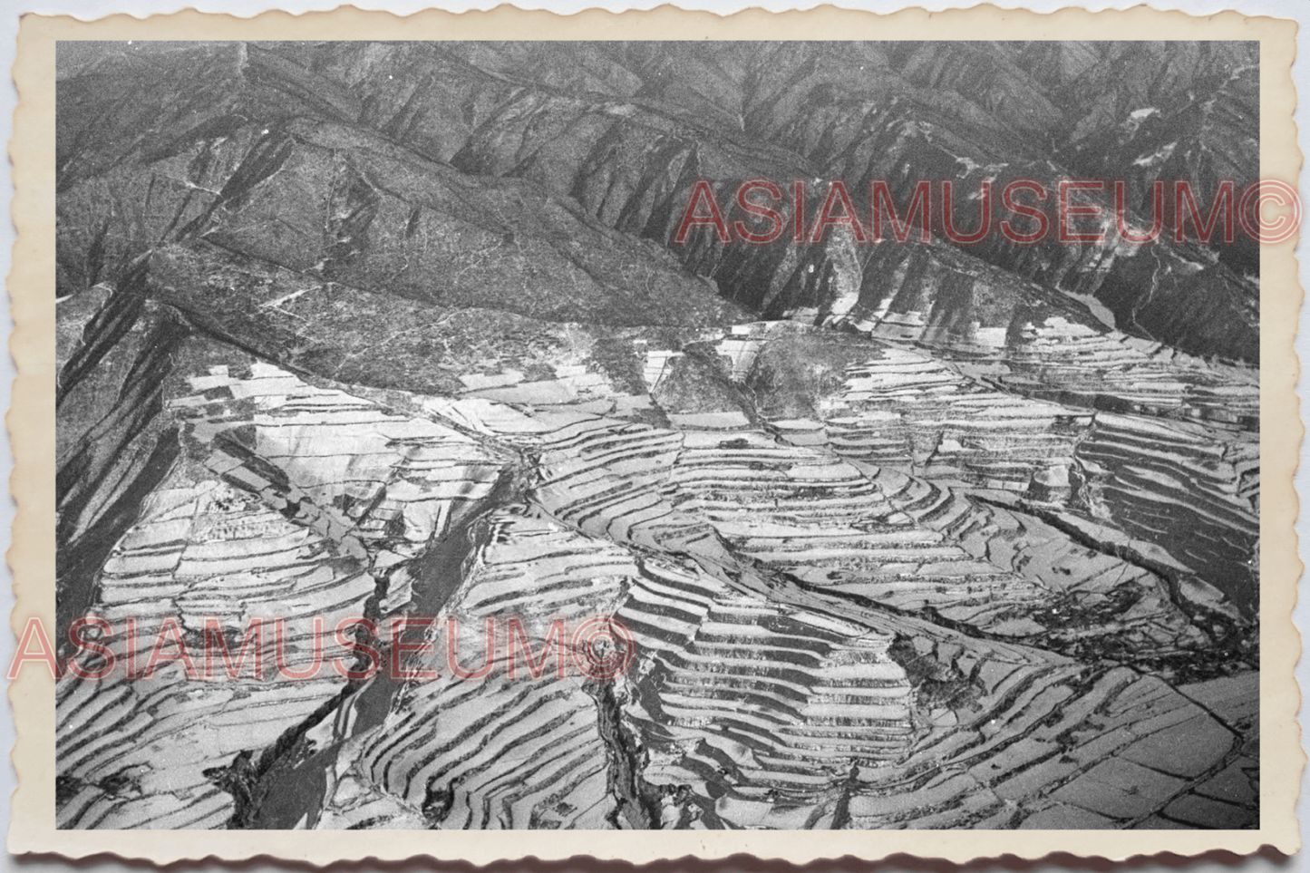 50s PHILIPPINES IFUGAO HILL RICE TERRACE PADDY FIELD SCENIC Vintage Photo 24215