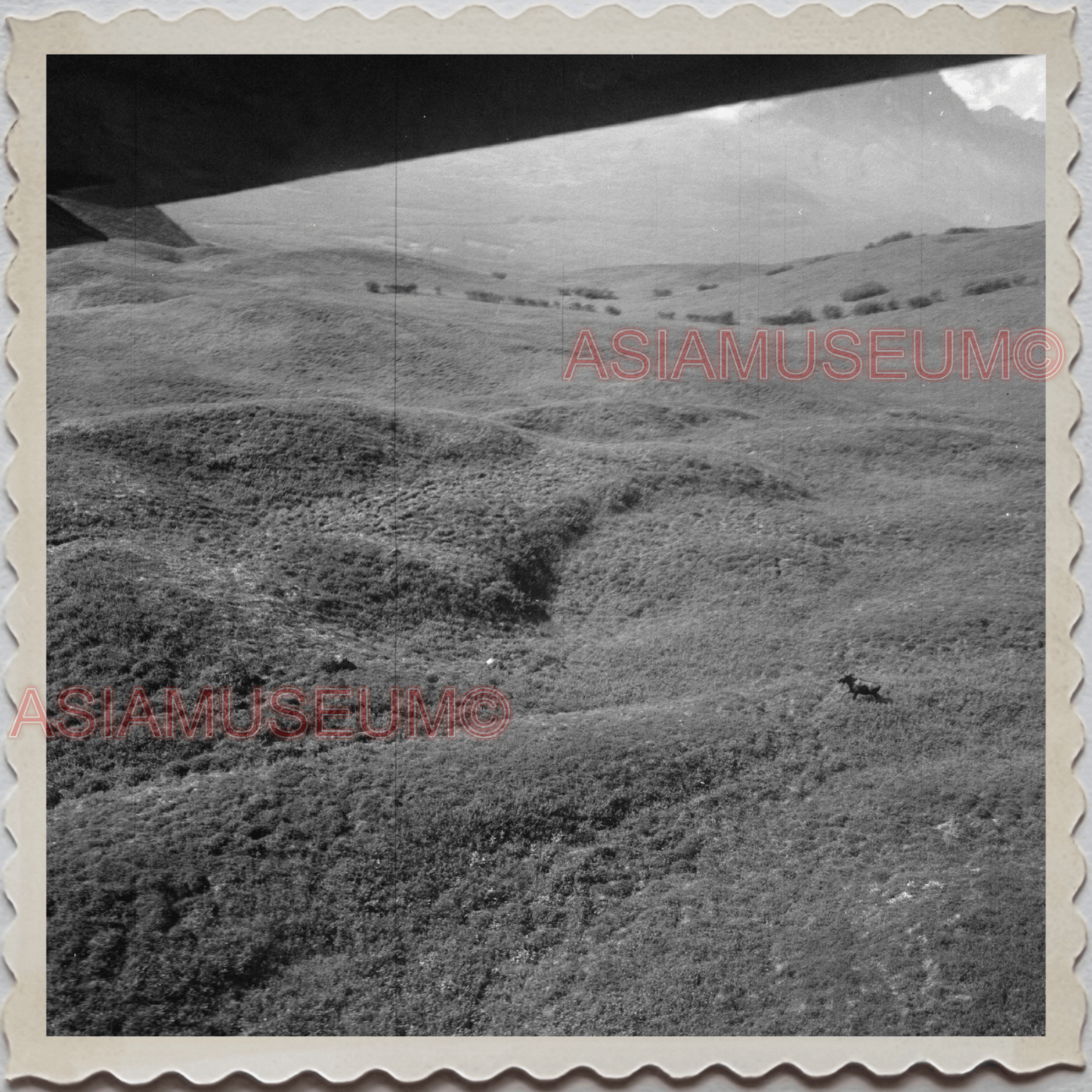 50s PALMER CITY Matanuska-Susitna ALASKA AERIAL VIEW  VINTAGE USA Photo 12088