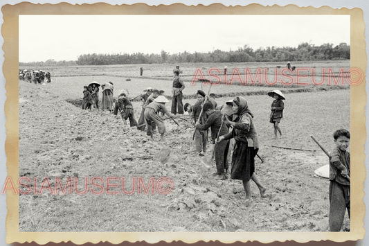 40s WW2 Vietnam HANOI VILLAGER YOUNG WOMEN LADY WORKER FARM Vintage Photo 26505