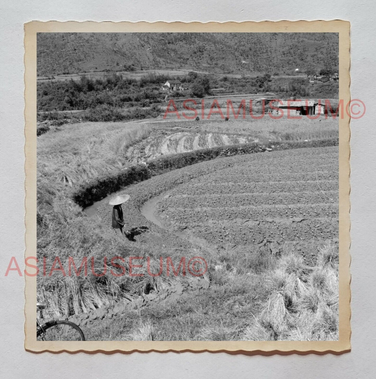 WOMEN LADY FARMER VILLAGE HOUSE PADDY FIELD Vintage Hong Kong Photo 27171 香港旧照片