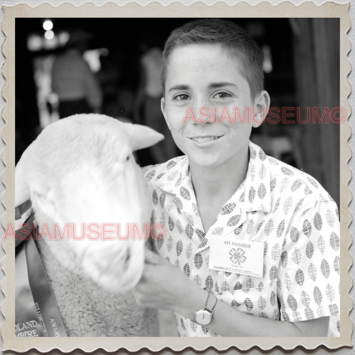 50s BILLINGS MONTANA FAIR YELLOWSTONE RIVER BOY SHEEP VINTAGE USA Photo 11818