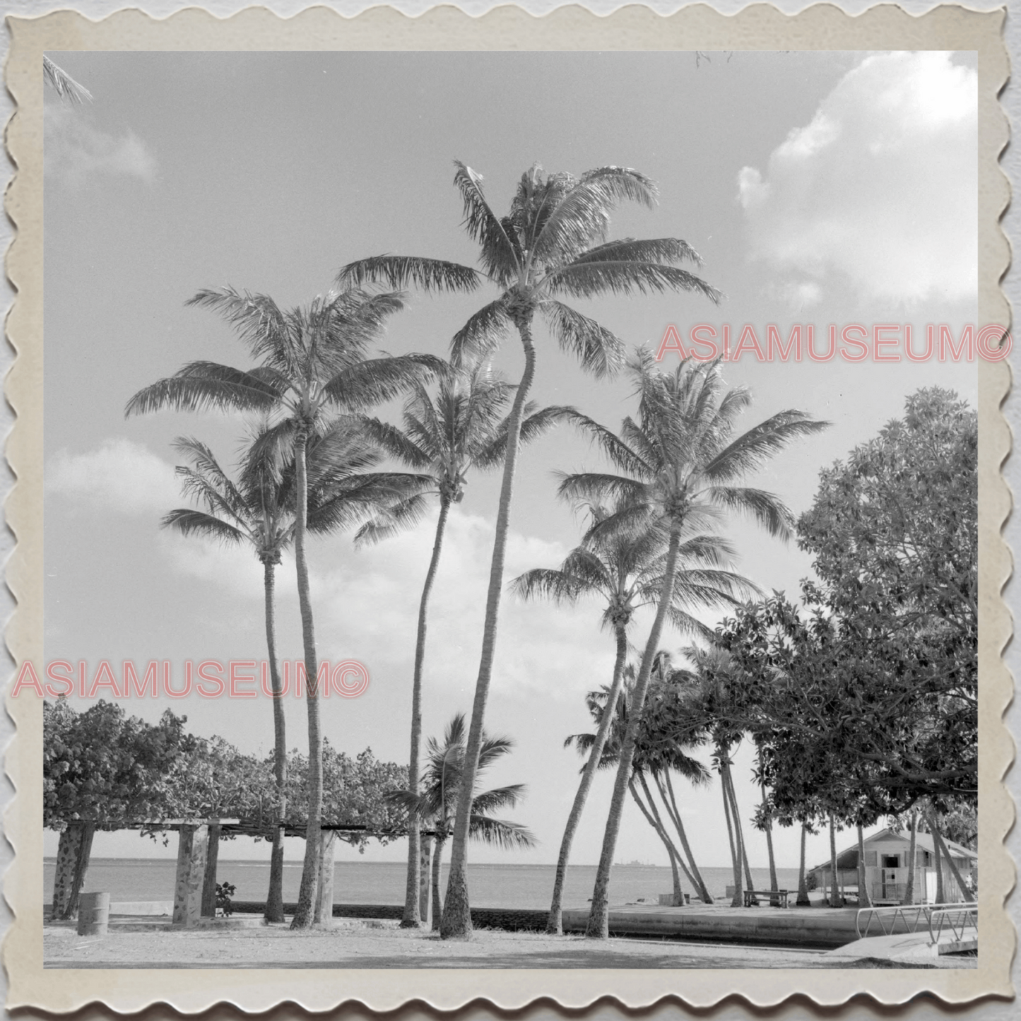 50s HAWAII OAHU HONOLULU WAIKIKI BEACH HOTEL SEA VINTAGE AMERICA USA Photo 8262