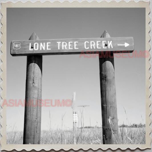 50s CUSTER COUNTY COLORADO WESTCLIFFE LONE TREE CREEK VINTAGE USA Photo 10212