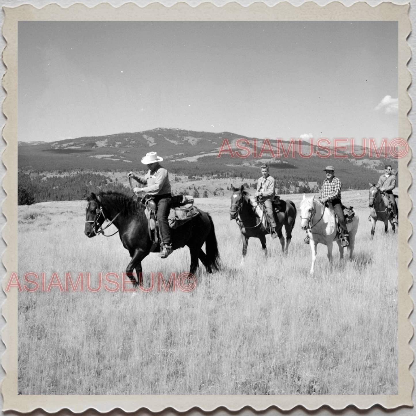 50s YELLOWSTONE NATIONAL PARK WYOMING MAN HORSES FIELD  VINTAGE USA Photo 10165