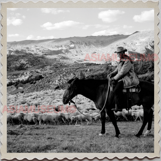 50s PARK COUNTY LIVINGSTON MONTANA YELLOWSTONE SHEEP MAN VINTAGE USA Photo 10369