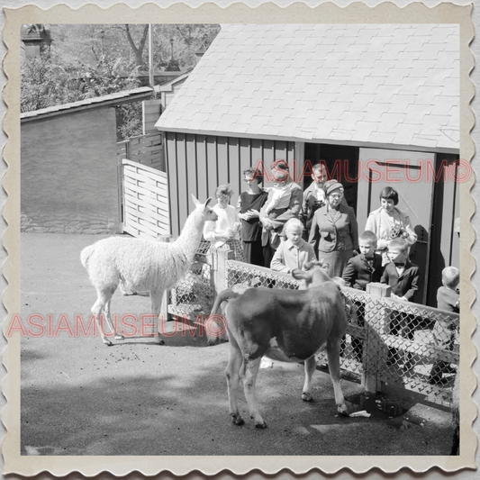 50s MANHATTAN NEW YORK CITY CENTRAL PARK ZOO ANIMAL BOY VINTAGE USA Photo 11387