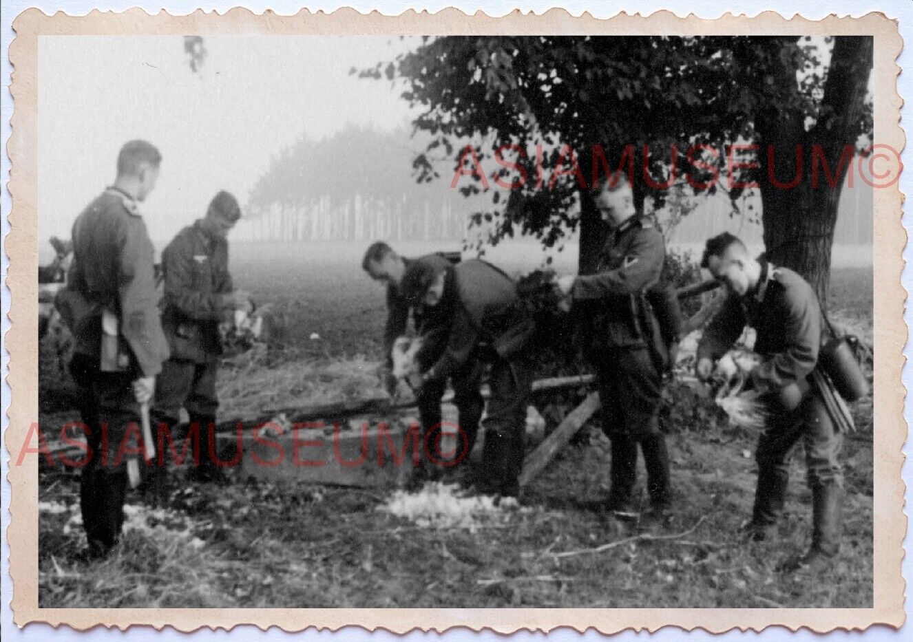 WWii D-DAY EUROPE COOK FRANCE ARMY Soldier Battle Field Zone Chicken Photo A100