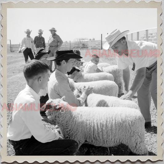 50s HARDIN TOWN BIG HORN COUNTY MONTANA SHEEP 4H SHOW BW VINTAGE USA Photo 11732