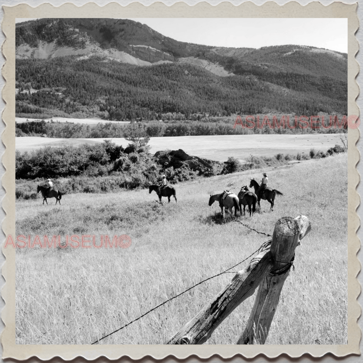 40s AUGUSTA KRONE RANCH COWBOY HORSE RIVER VINTAGE OLD USA AMERICA Photo S8510