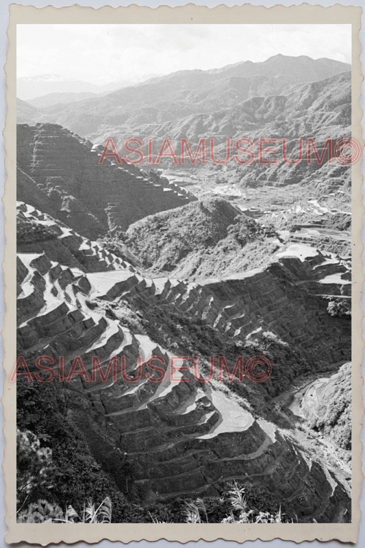 50s PHILIPPINES LUZON IFUGAO CORDILLERA BANAUE RICE TERRACE Vintage Photo 24225