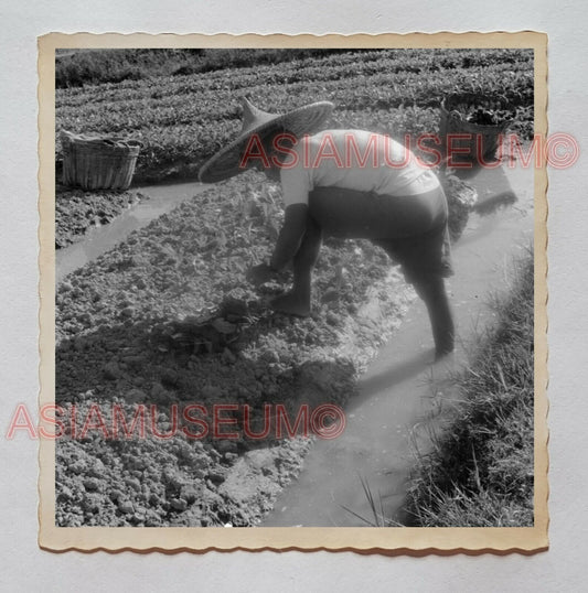 Man Farmer Irrigation Stream Paddy Village Vintage Hong Kong Photo 香港旧照片 28841