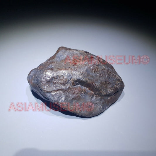 334g XINJIANG Uyghur Armanty IRON NICKEL METEORITE Crystal Meteor Aerolite Jb