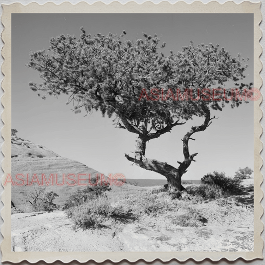 50s WINDOW ROCK NAVAJO NATION APACHE ARIZONA NEW MEXICO VINTAGE USA Photo 10732