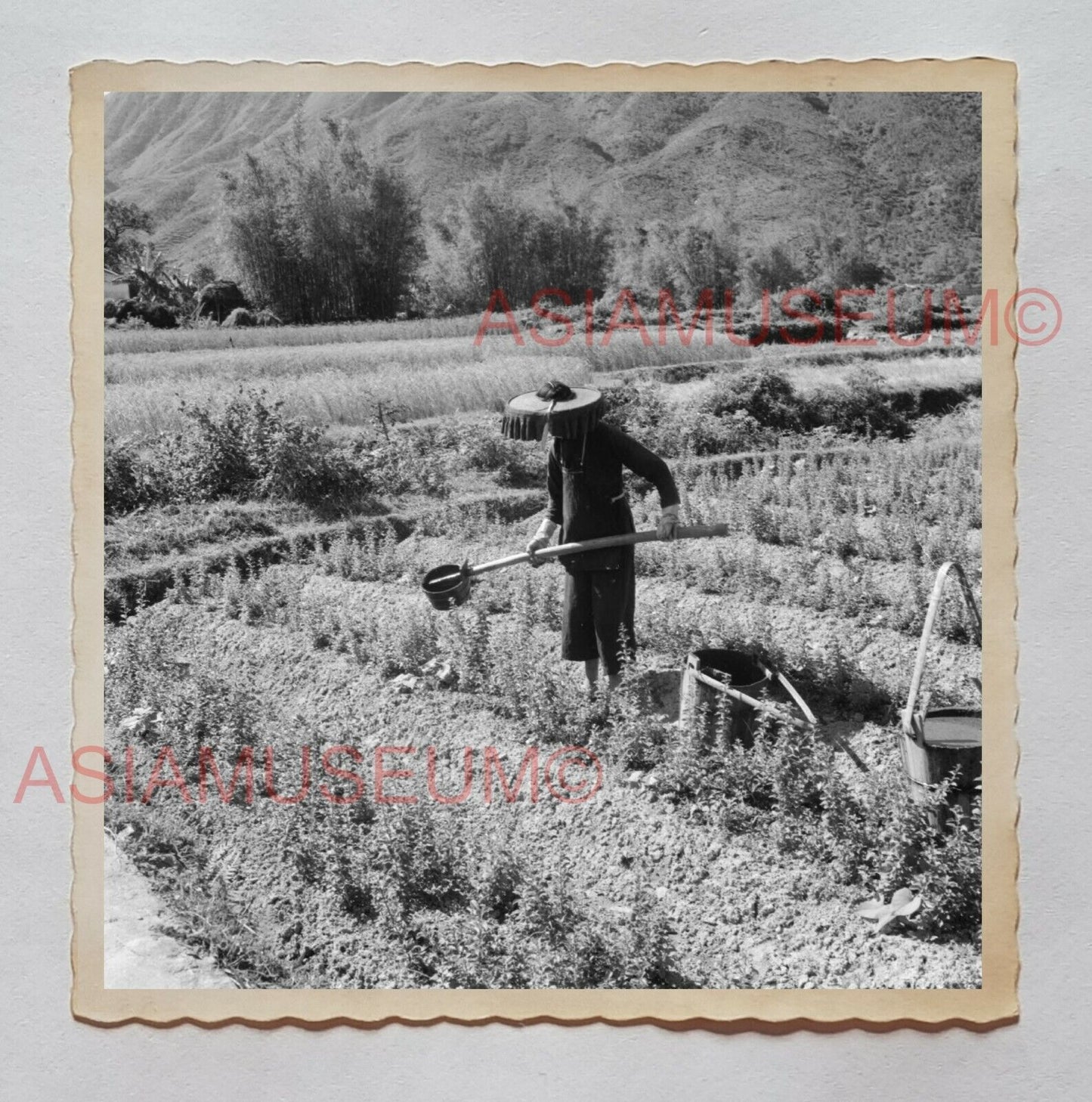 WOMEN LADY FARMER VILLAGE HOUSE PADDY FIELD Vintage Hong Kong Photo 27175 香港旧照片