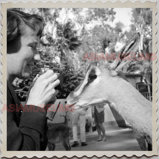 50s SAN DIEGO CALIFORNIA ZOO DEER GIRL WOMEN AMERICA OLD VINTAGE USA Photo 9873