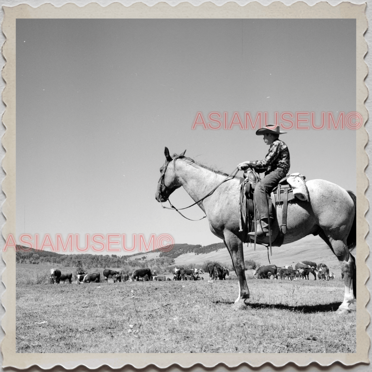 50s AUGUSTA KRONE RANCH COWBOY RIDING HORSE VINTAGE OLD USA AMERICA Photo 12608