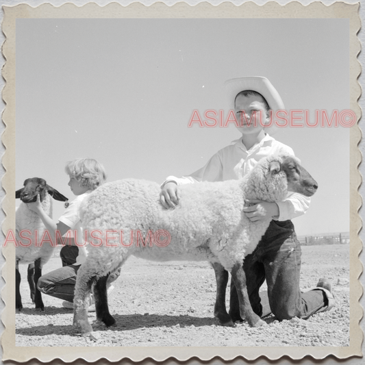 50s HARDIN TOWN BIG HORN COUNTY MONTANA SHEEP 4H SHOW BW VINTAGE USA Photo 11988