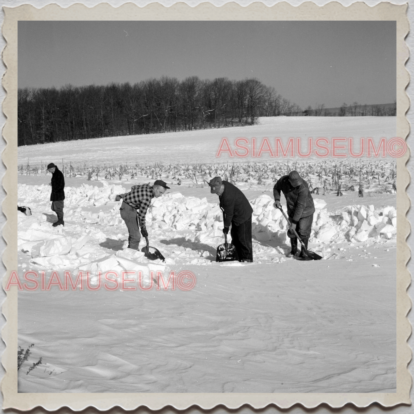 50s SUNBURY NORTHUMBERLAND PENNSYLVANIA MAN SHOVELING SNOW OLD BW USA Photo 8657