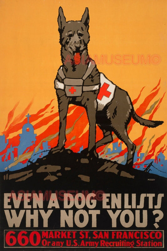 1943 WW2 PACIFIC WAR USA K9 SERVICE DOG RED CROSS AMERICA PROPAGANDA Postcard