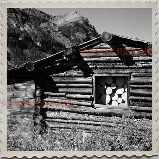 50s COOKE CITY PARK COUNTY MONTANA LOG CABIN FOREST OLD VINTAGE USA Photo 12126