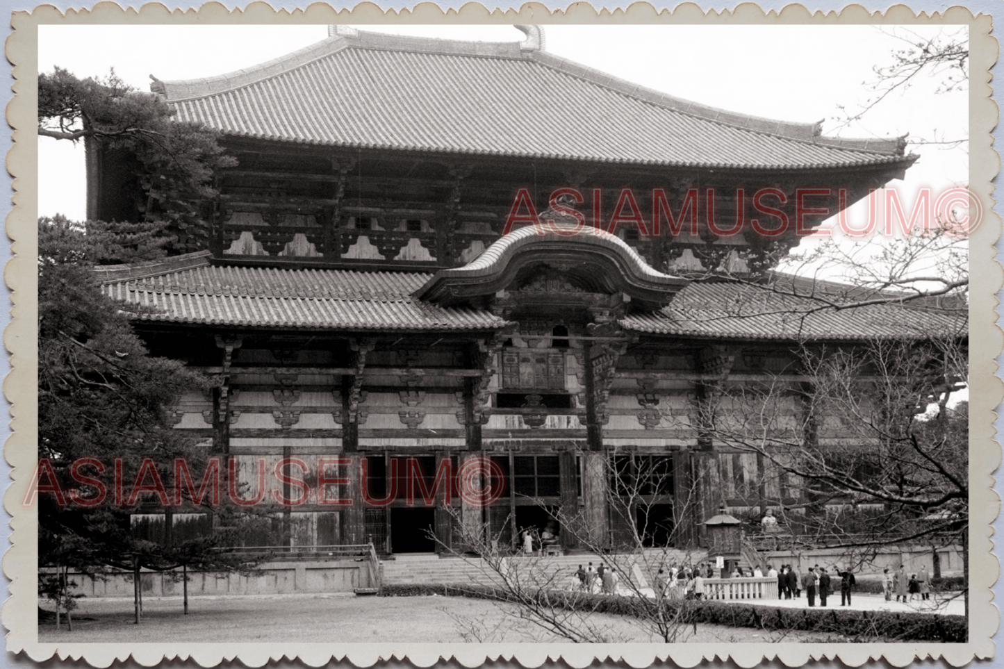 50s JAPAN TOKYO Todai Ji Temple Nara Great Buddha Hall  Old Vintage Photo 25418