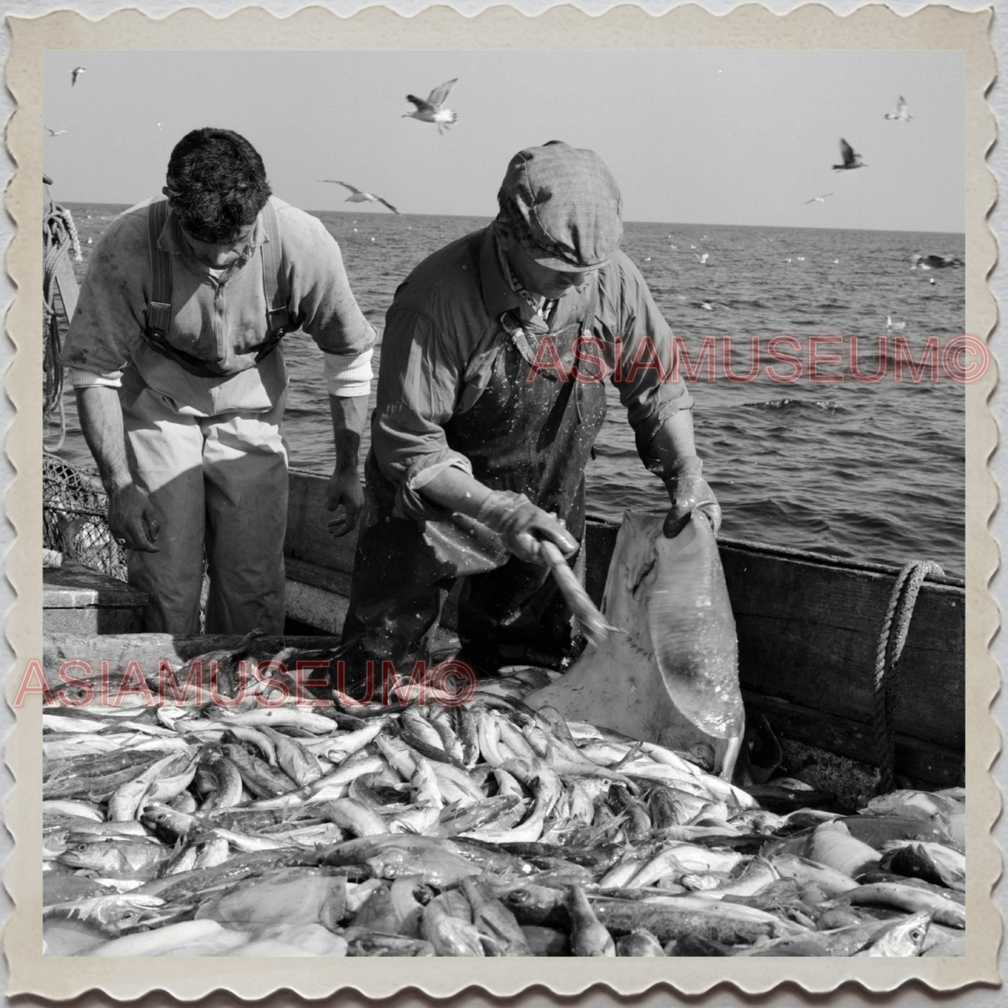 50s GLOUCESTER HARBOR ESSEX MASSACHUSETTS FISHING BOAT  VINTAGE USA Photo 11018