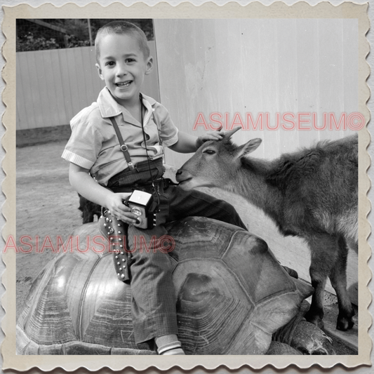 50s SAN DIEGO CALIFORNIA ZOO BOY TORTOISE GOAT AMERICA VINTAGE USA Photo 11825