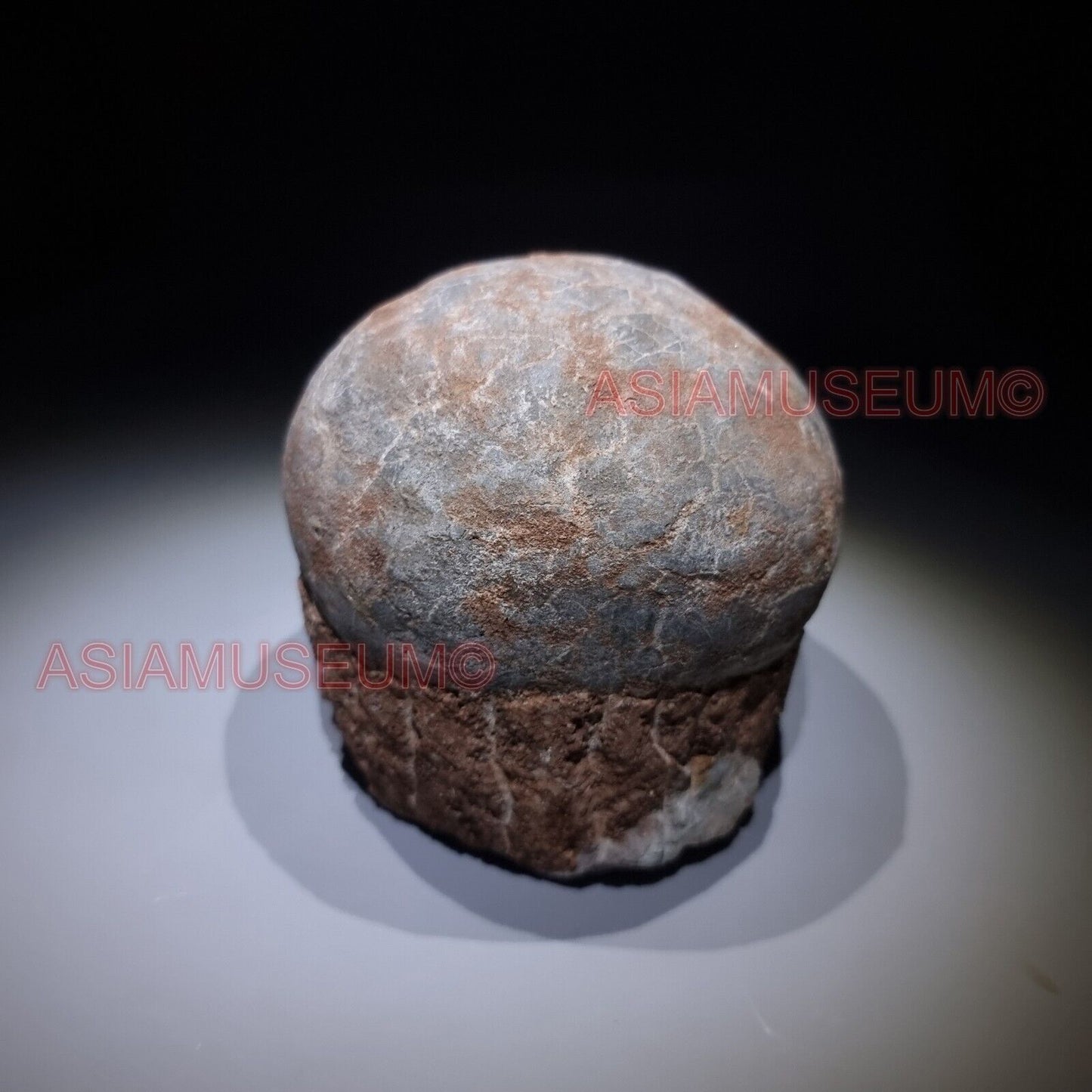 Dinosaur Egg Nest Dendrolithus Hadrosaur Duckbill Fossil Jurassic Park World GU3