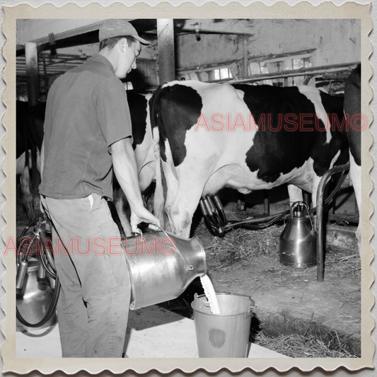 50s LAKE GENEVA WISCONSIN WALWORTH MILWAUKEE COW FARM VINTAGE USA Photo 12254